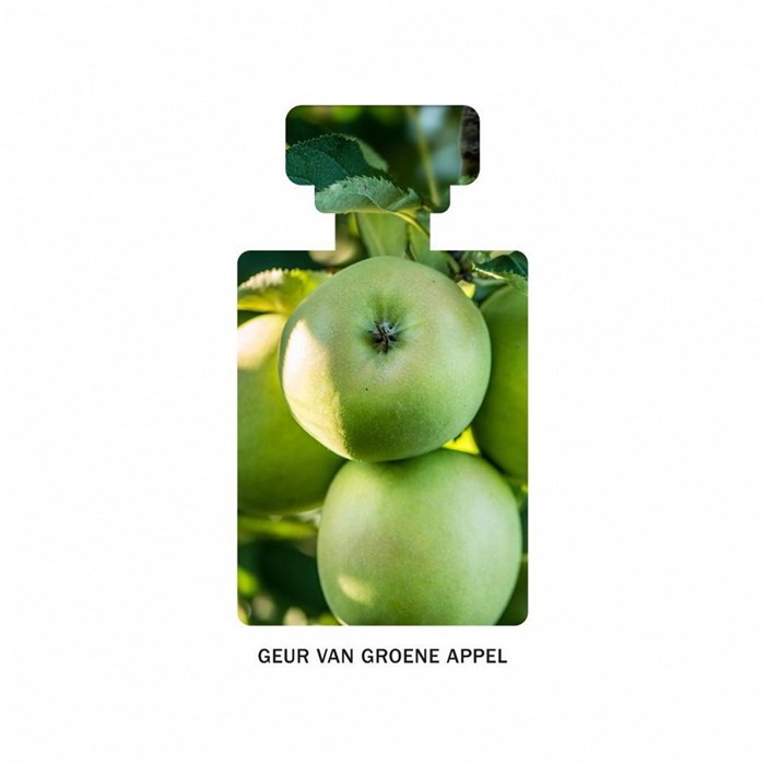 Skin-Brightening Serum