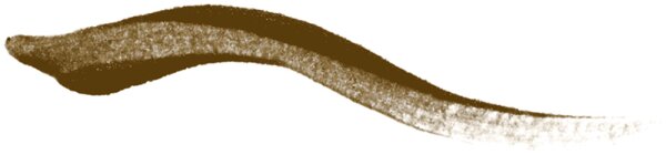 Urban Decay Inked Brow Augenbrauengel