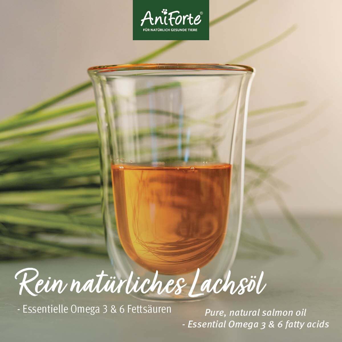 Aniforte Ergänzungsfutter & Aufzucht Aniforte Lachsöl 1 Liter