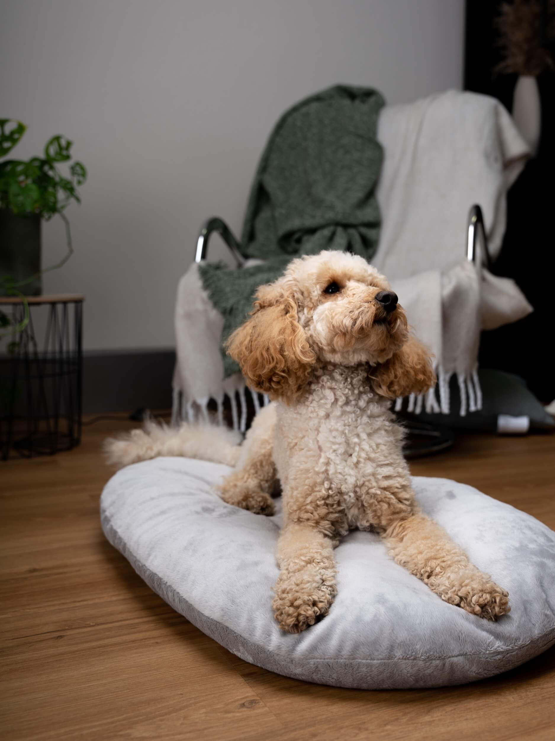 TrendPet Hundekissen TrendPet Emma Liegekissen grau L