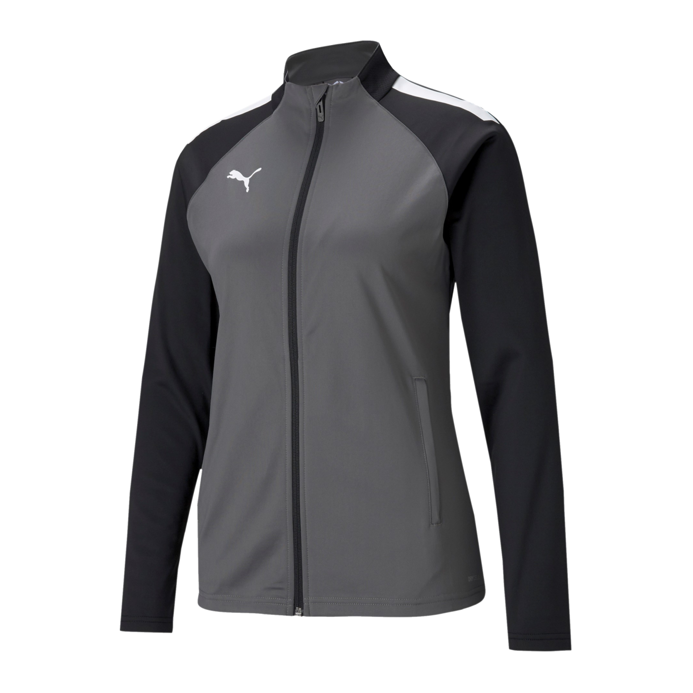 PUMA teamLIGA Trainingsjacke Damen Grau F13