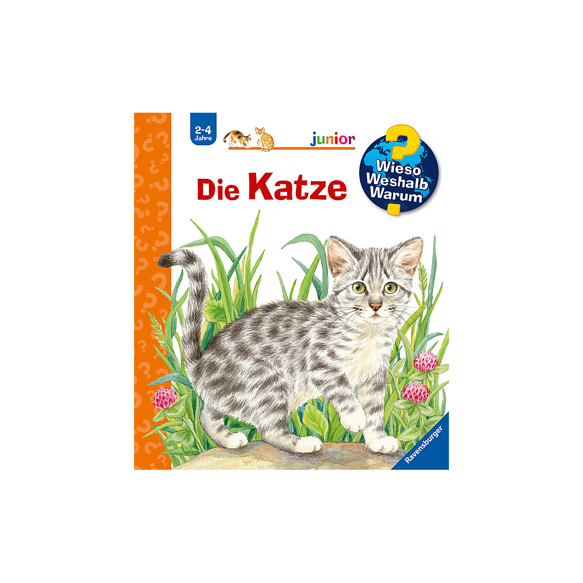 WWW junior Die Katze