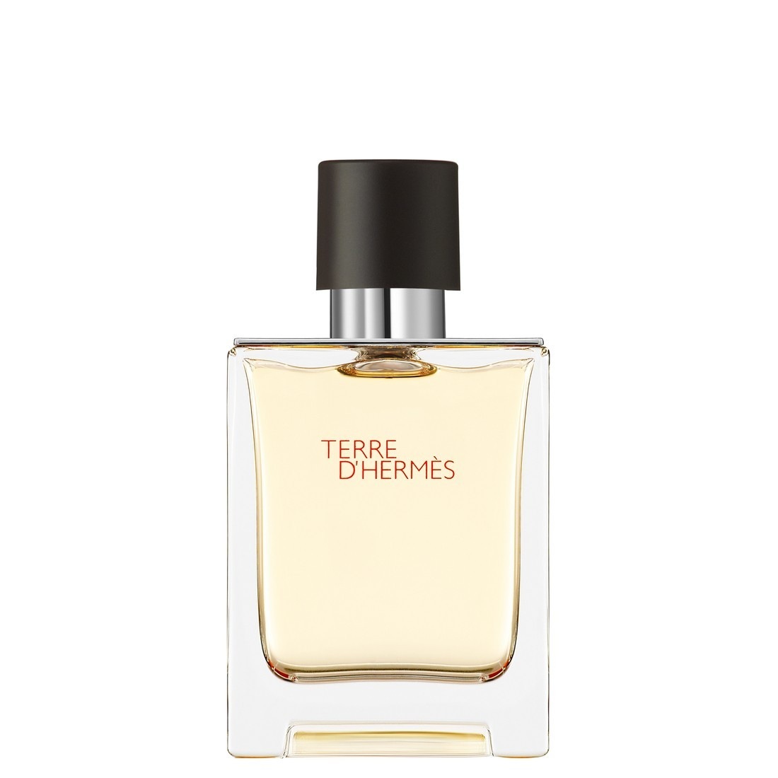 Terres