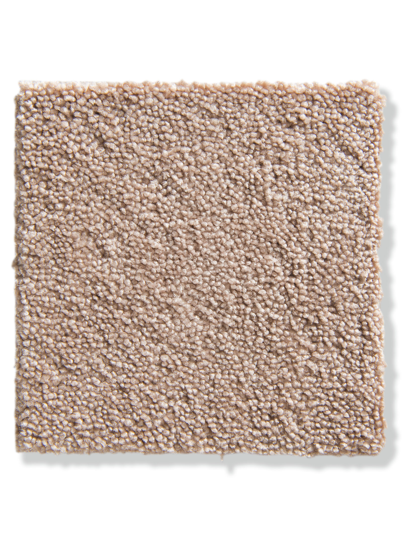 Parma Velours-Teppichboden, Rose 12