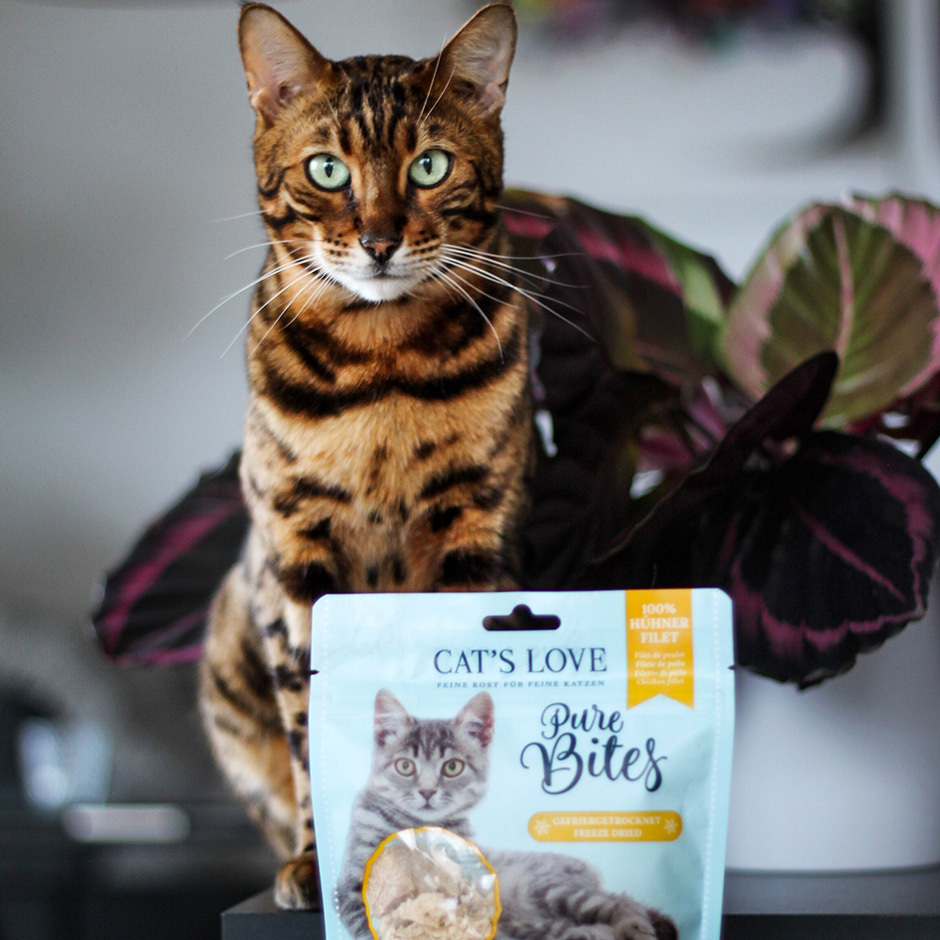 CAT'S LOVE Snacks CAT'S LOVE Hühnerfilet 40g
