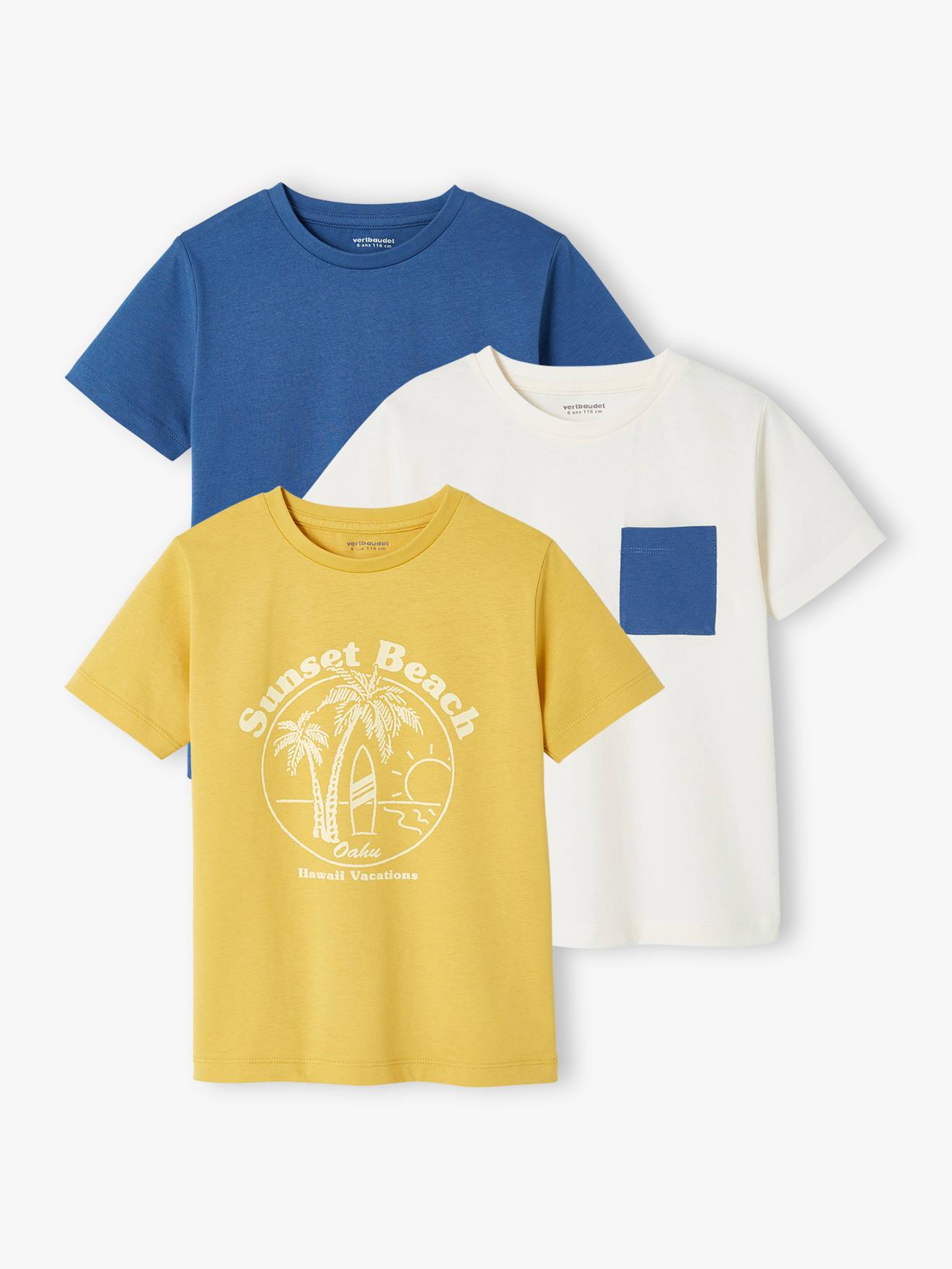 Lot de 3 T-shirts Basics garçon manches courtes lot mastic