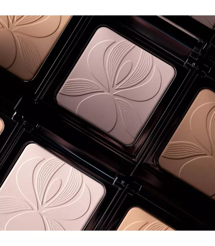 BLUR EXPERT VOILE POUDRE PERFECTEUR LISSANT