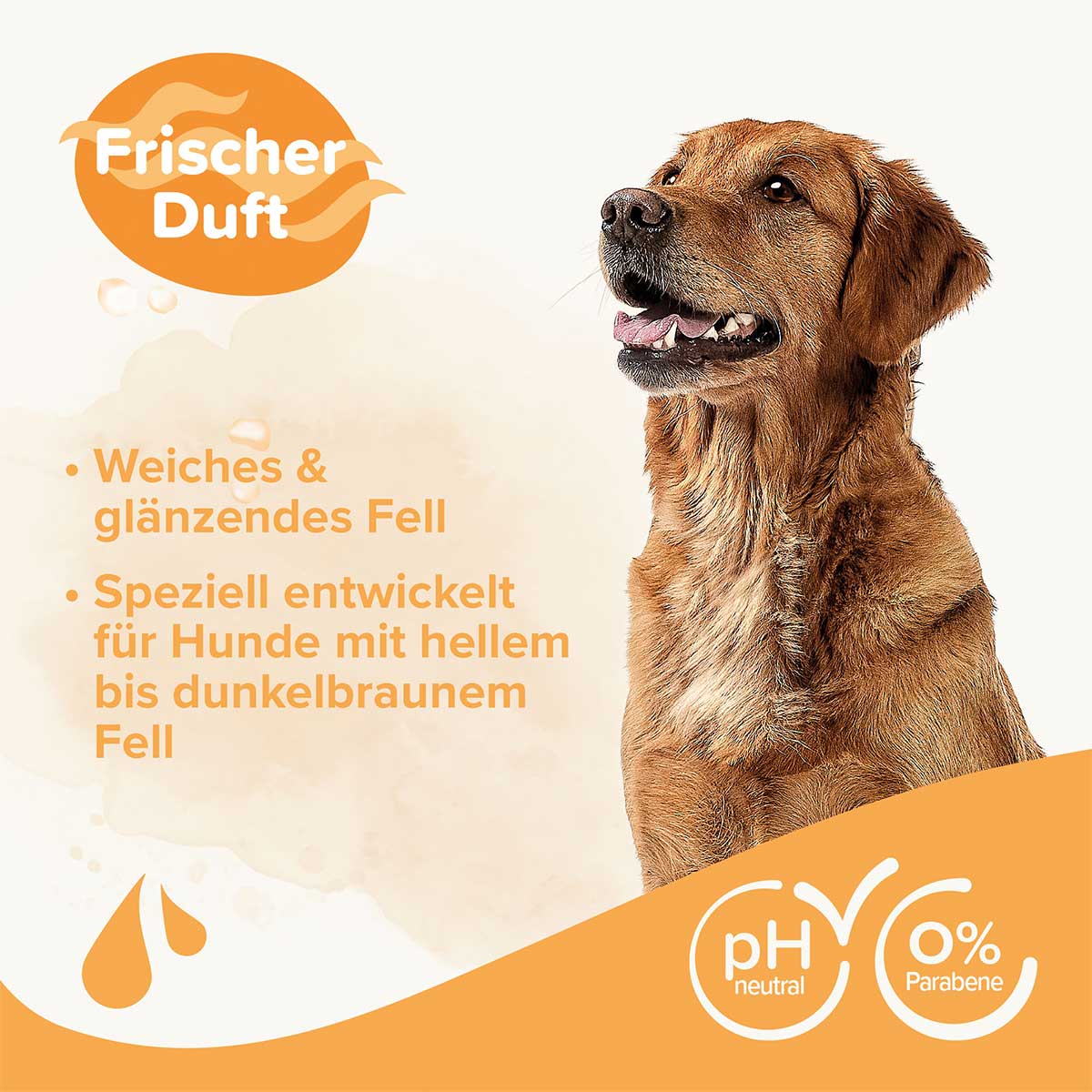 beaphar Shampoo für Braunes Fell 250ml kaufen bei ZooRoyal
