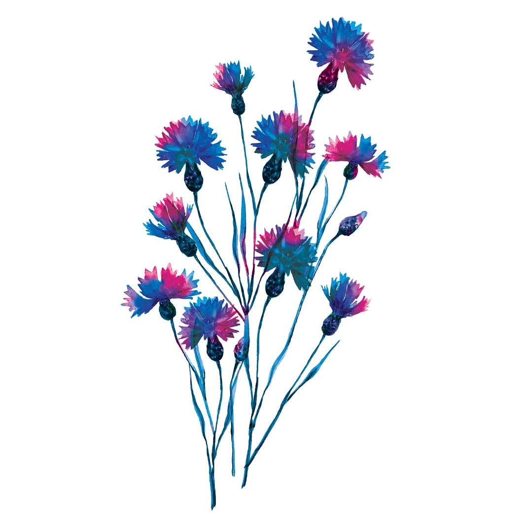 Pure Bleuet Milder Augenmake-up Entferner