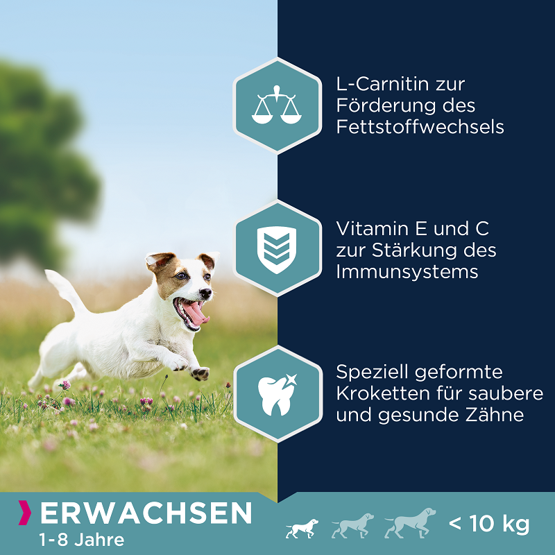 EUKANUBA Hundetrockenfutter EUKANUBA Active Adult Small Breed Chicken 3kg