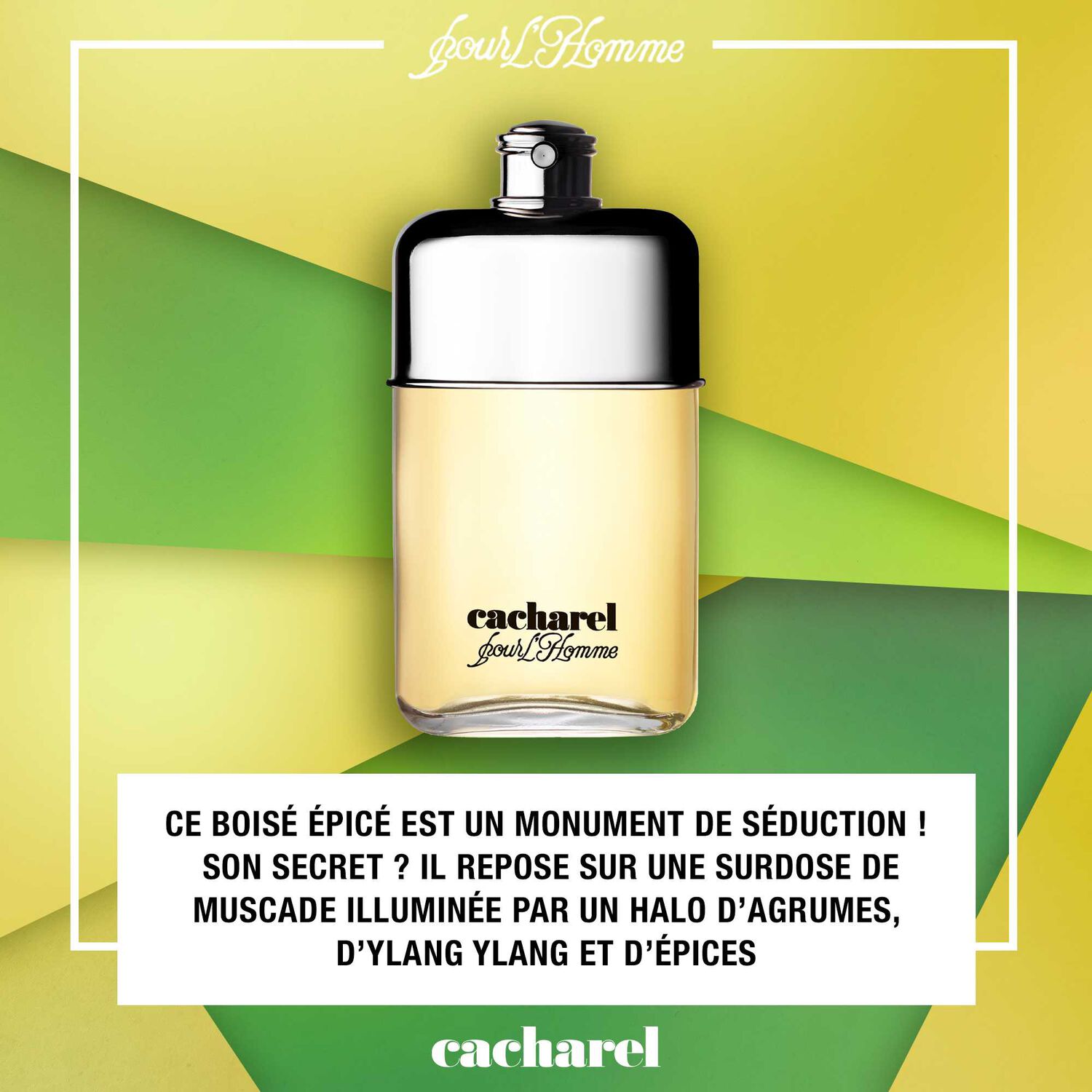 Cacharel Cacharel pour Homme Eau de Toilette