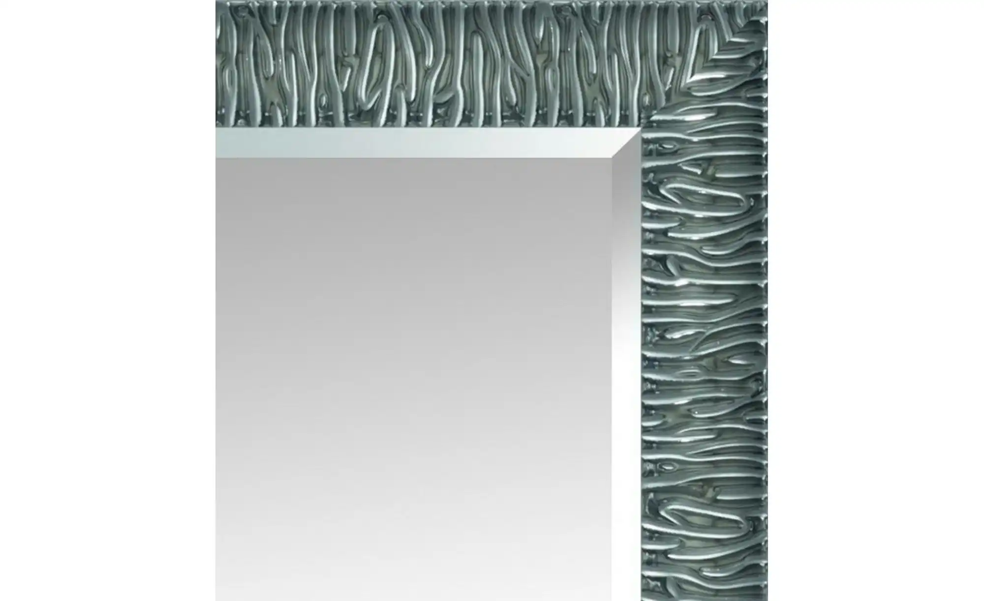 Spiegel 66 x 106 cm