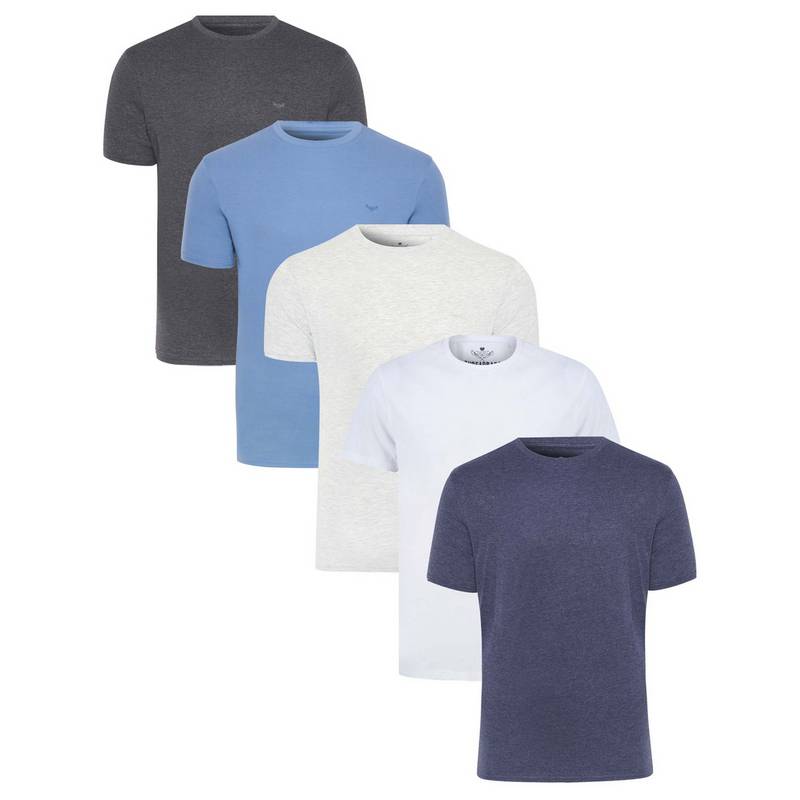 Threadbare THB Tee Basic 5PK - Pack H Printshirt Herren