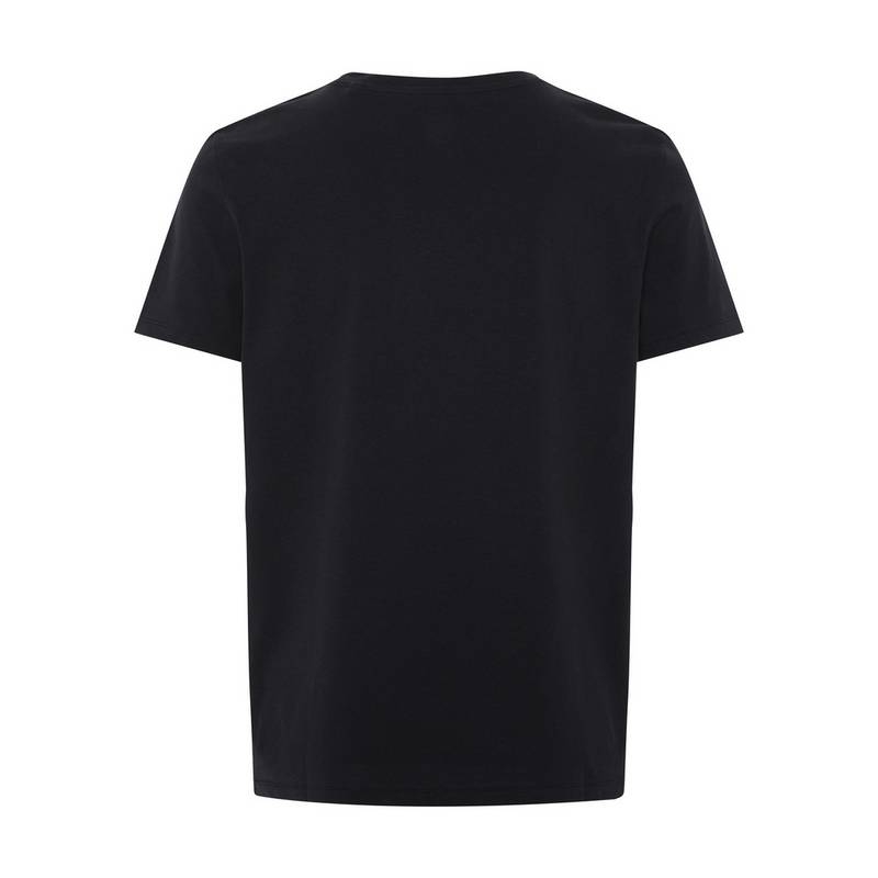 Chiemsee T-Shirt T-Shirt Herren