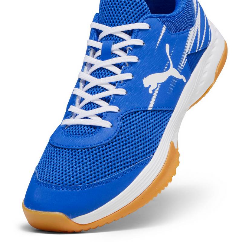PUMA Varion II Hallenschuhe Herren