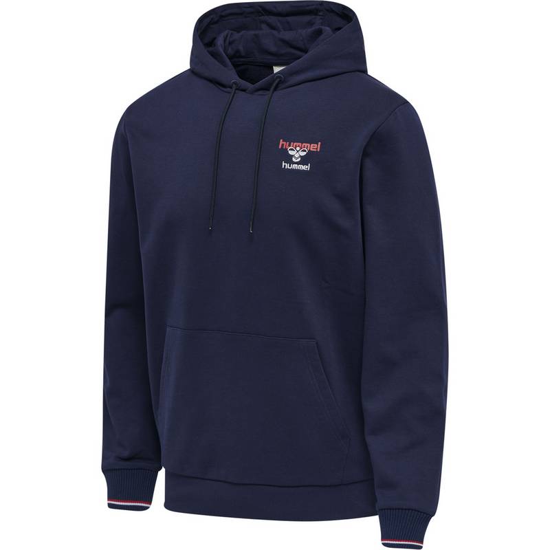 hummel hmlIC DAYTON HOODIE Hoodie