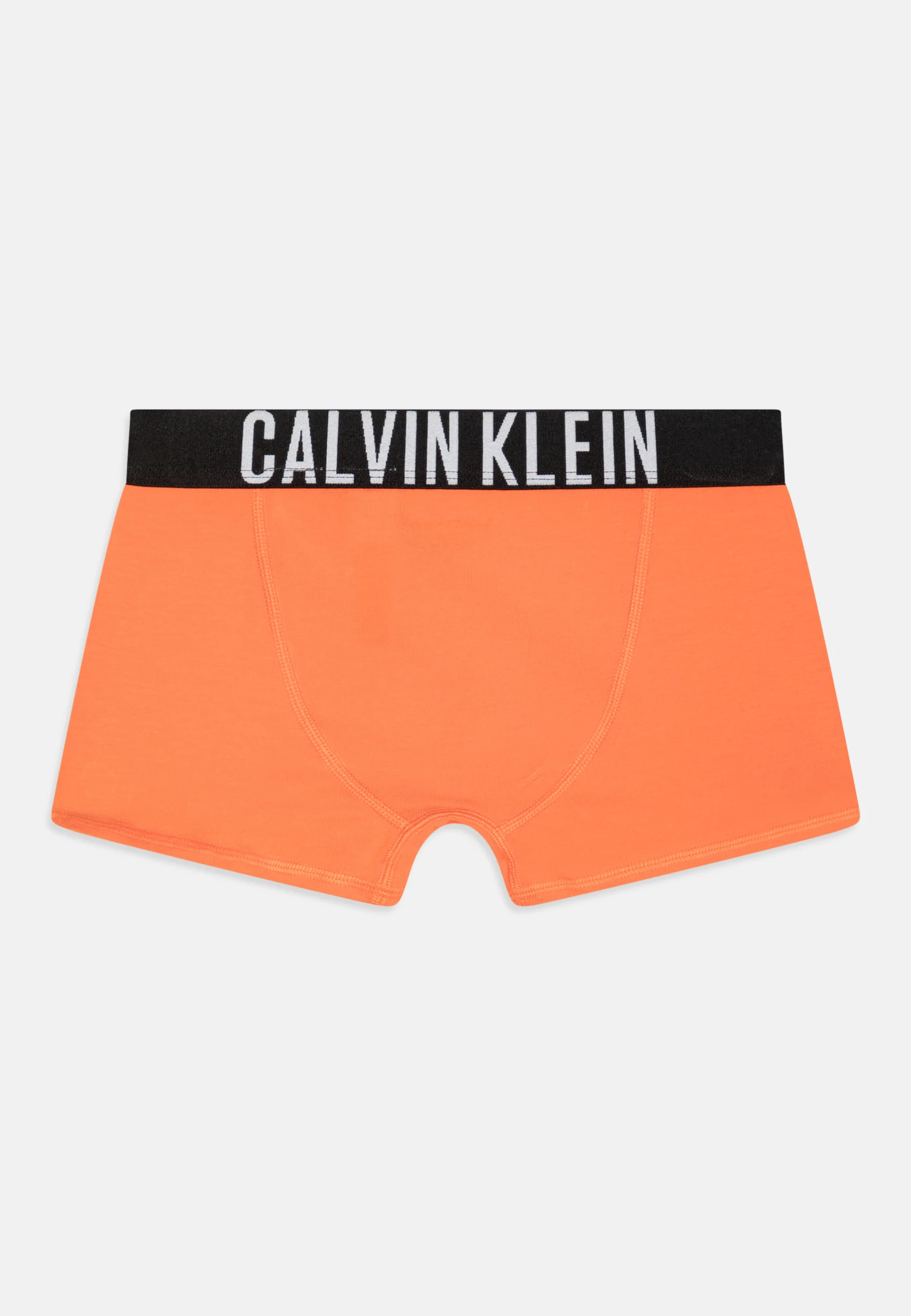 Calvin Klein Underwear TRUNK PACK DE 2 - Culotte