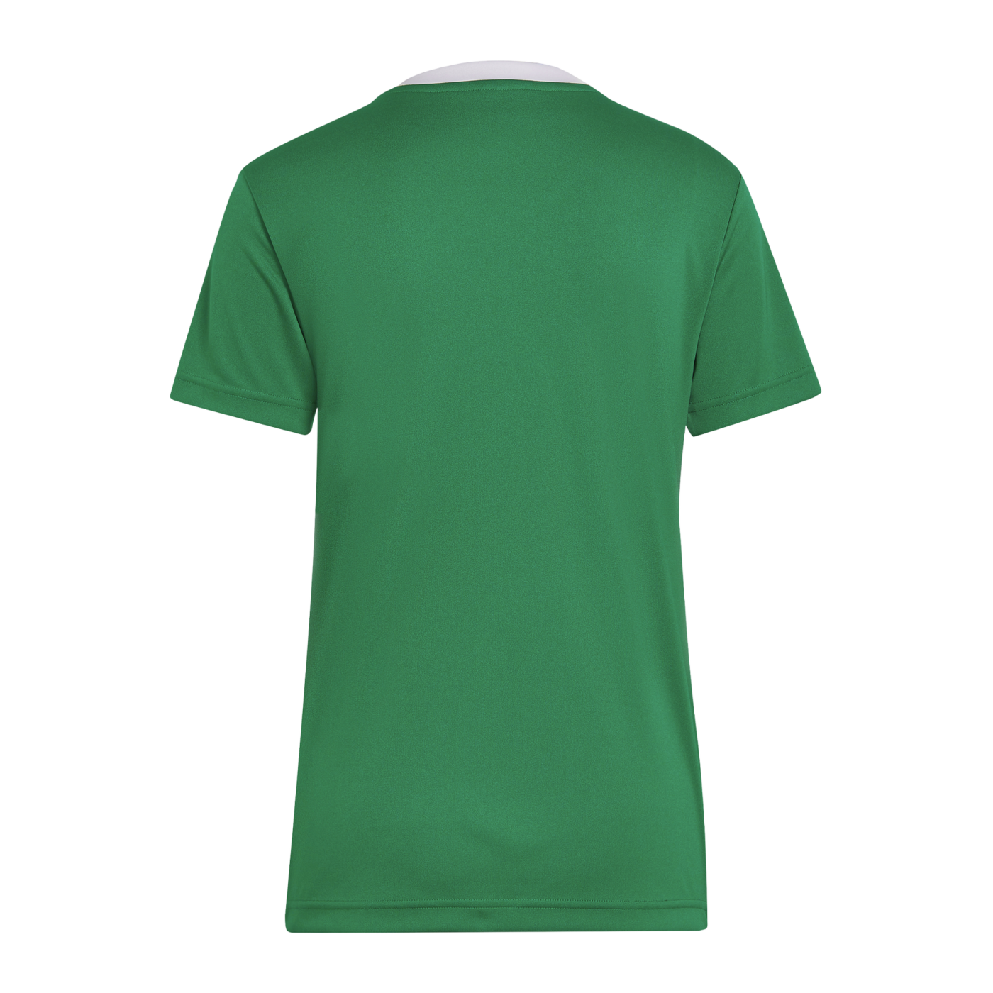adidas Entrada 22 Trikot Damen Grün