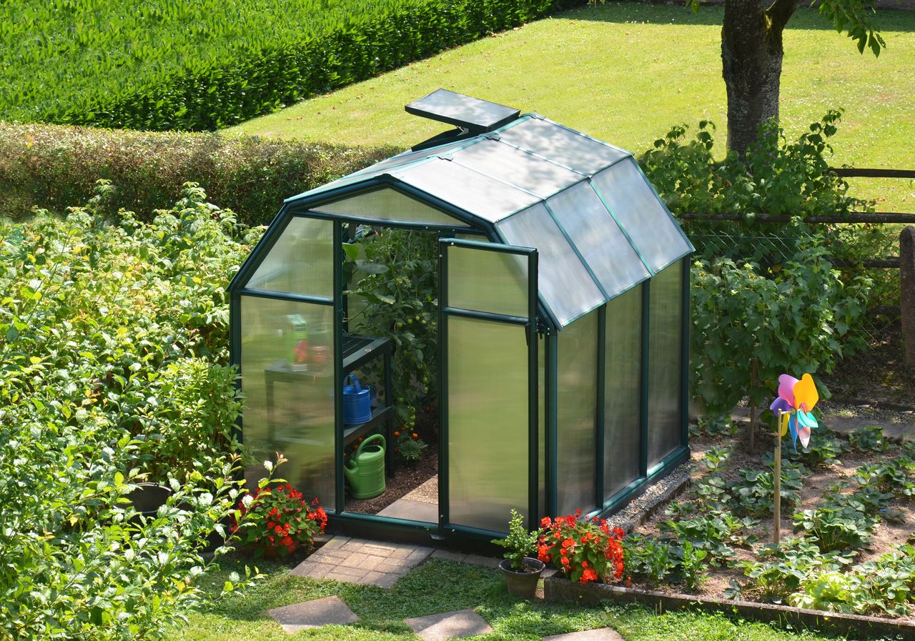 Canopia by Palram Gewächshaus Eco Grow  197 x 204cm Grün