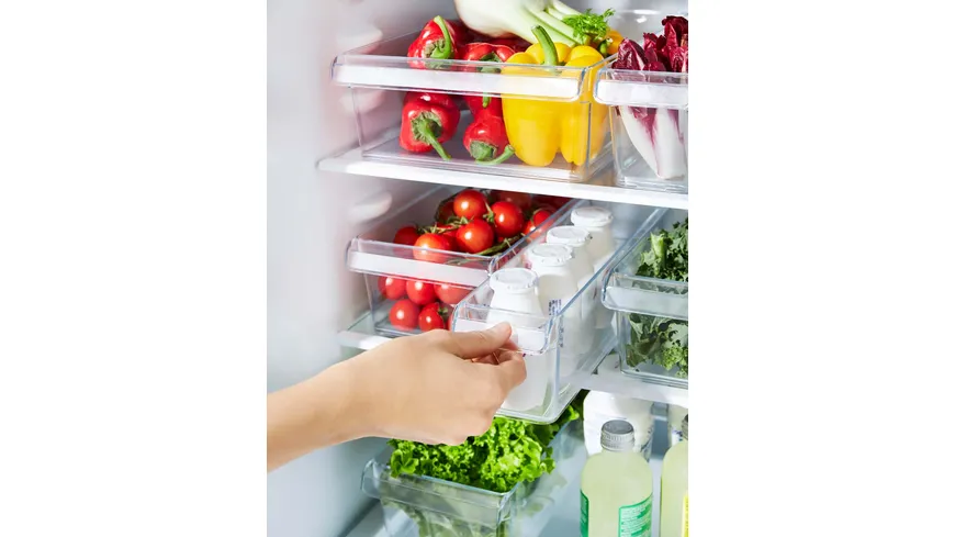 rotho Kühlschrankorganizer 1.6 l S LOFT