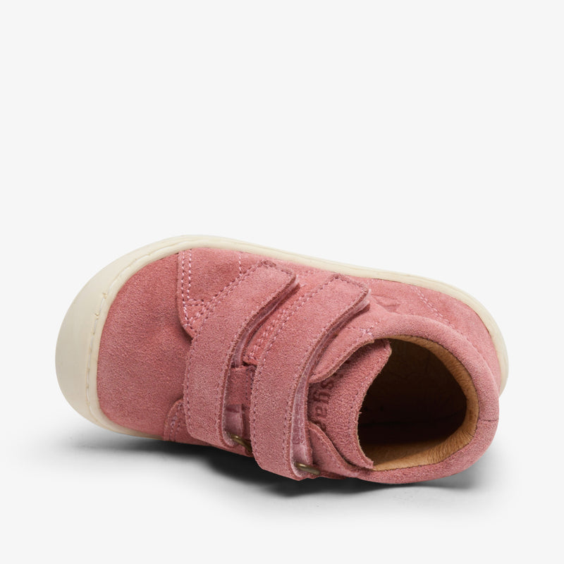 hale v blush - Rose