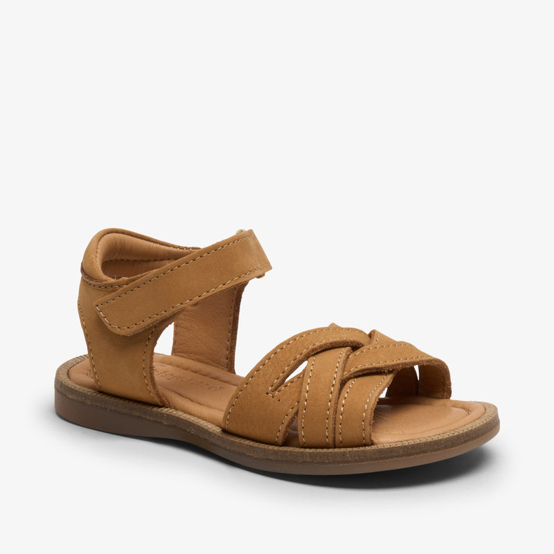 becca o cognac - Braun
