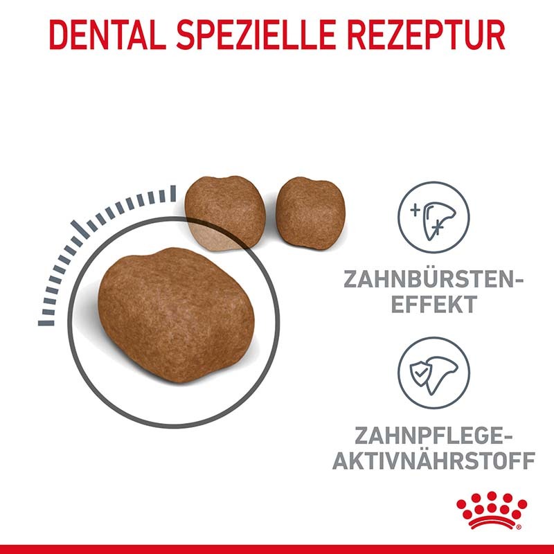 ROYAL CANIN Trockenfutter ROYAL CANIN Dental Care 2x8 kg