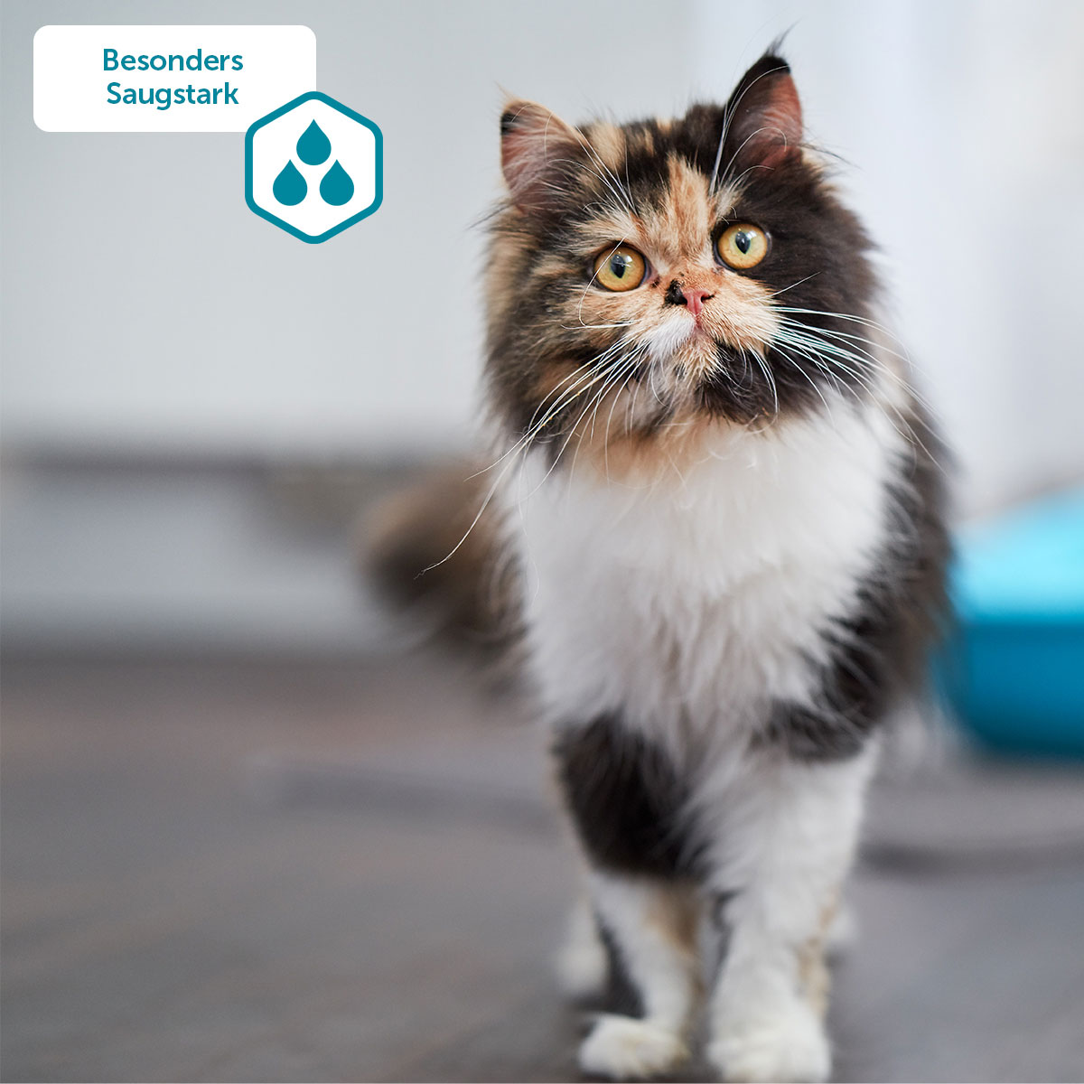 ZooRoyal Tigrooo Blue Magic günstig kaufen