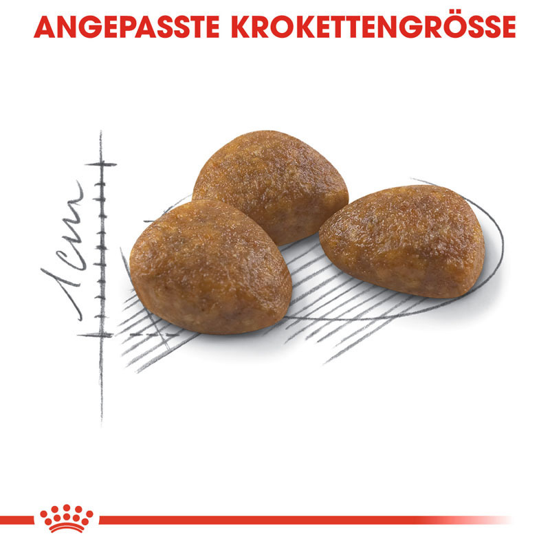 ROYAL CANIN Trockenfutter ROYAL CANIN Outdoor 7+ 10 kg