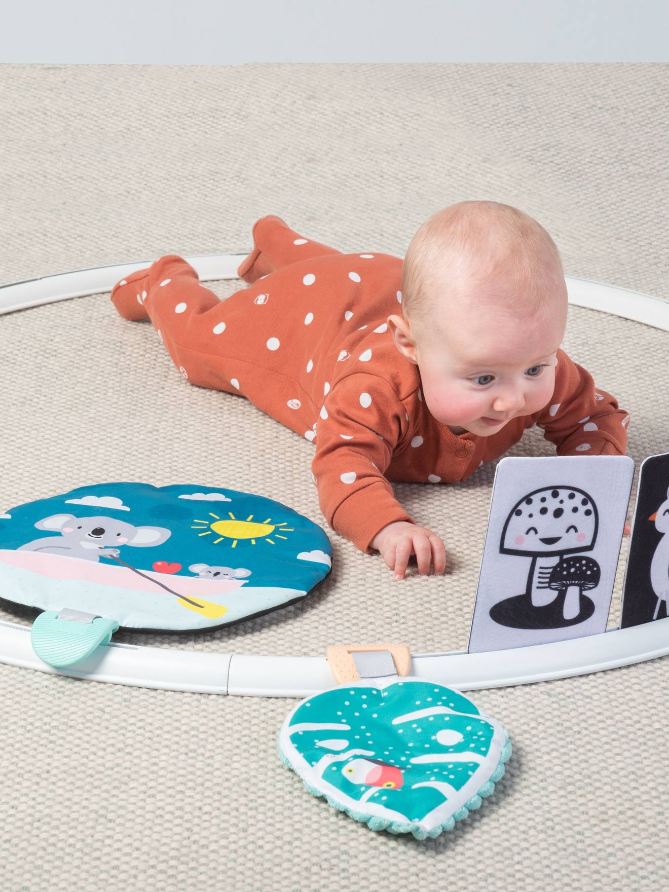 Taf Toys Activity-Reifen KOALA TAF TOYS - mehrfarbig