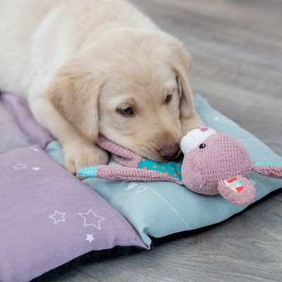 Trixie Junior Liegematte Patchwork