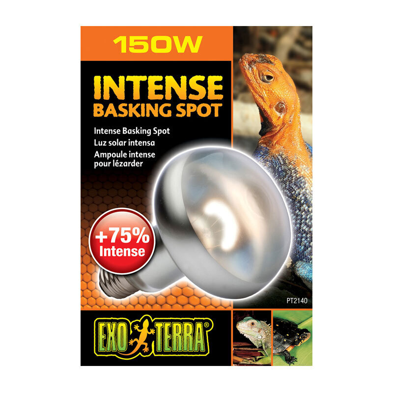Exo Terra Beleuchtung Exo Terra Intense Basking Spot 150 W