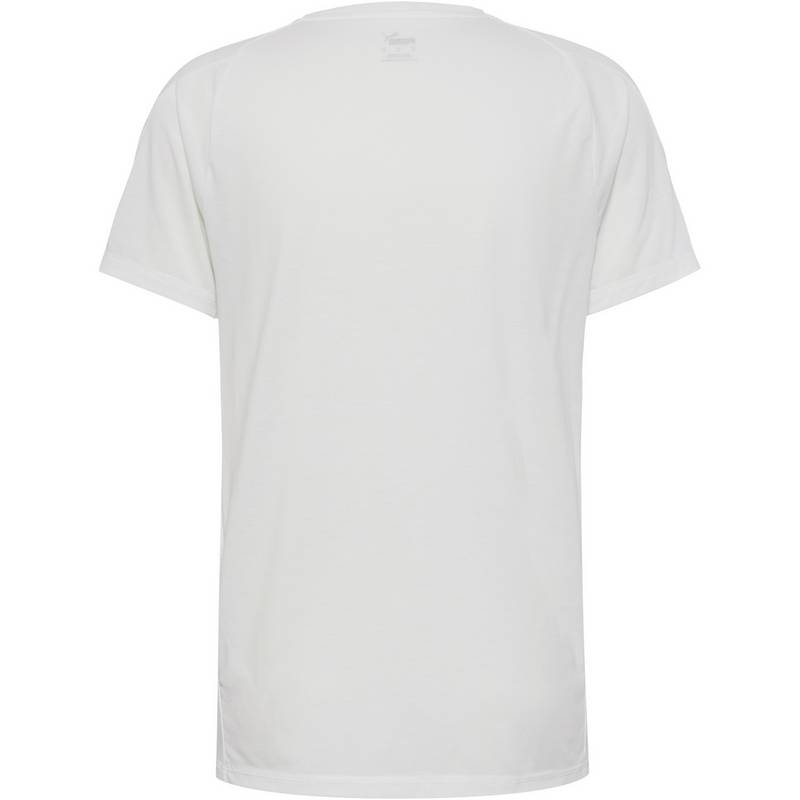 PUMA Evostripe Funktionsshirt Herren