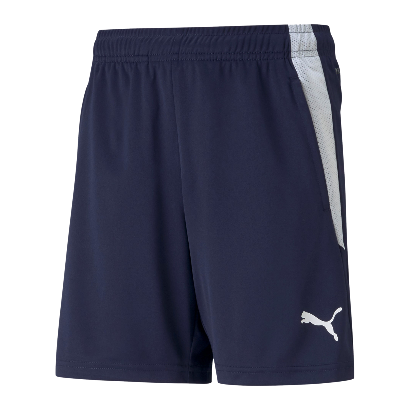 PUMA teamLIGA Short Kids Blau Weiss F06
