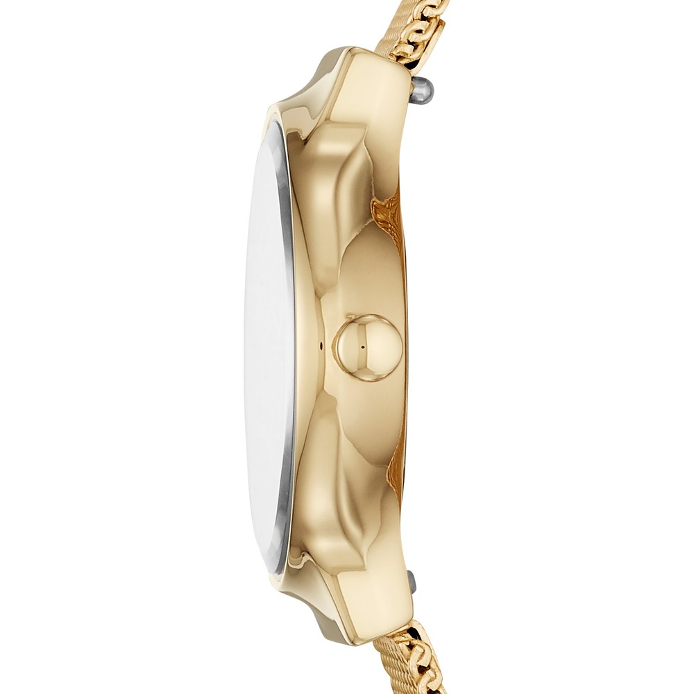 Skagen Montre pour femme Acier inoxydable Montre