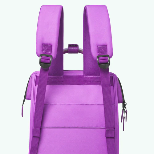 Naxos Medium Adventurer Backpack, Purple