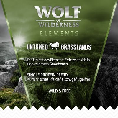 Wolf of Wilderness 