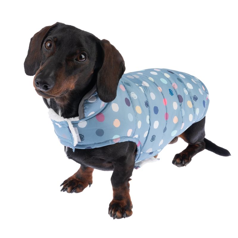 TIAKI Hundemantel Comfy Dots zu TOP-Preisen