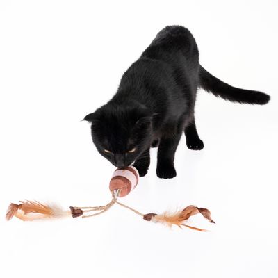 Katzenspielzeug Kaffeebecher mit Katzenminze