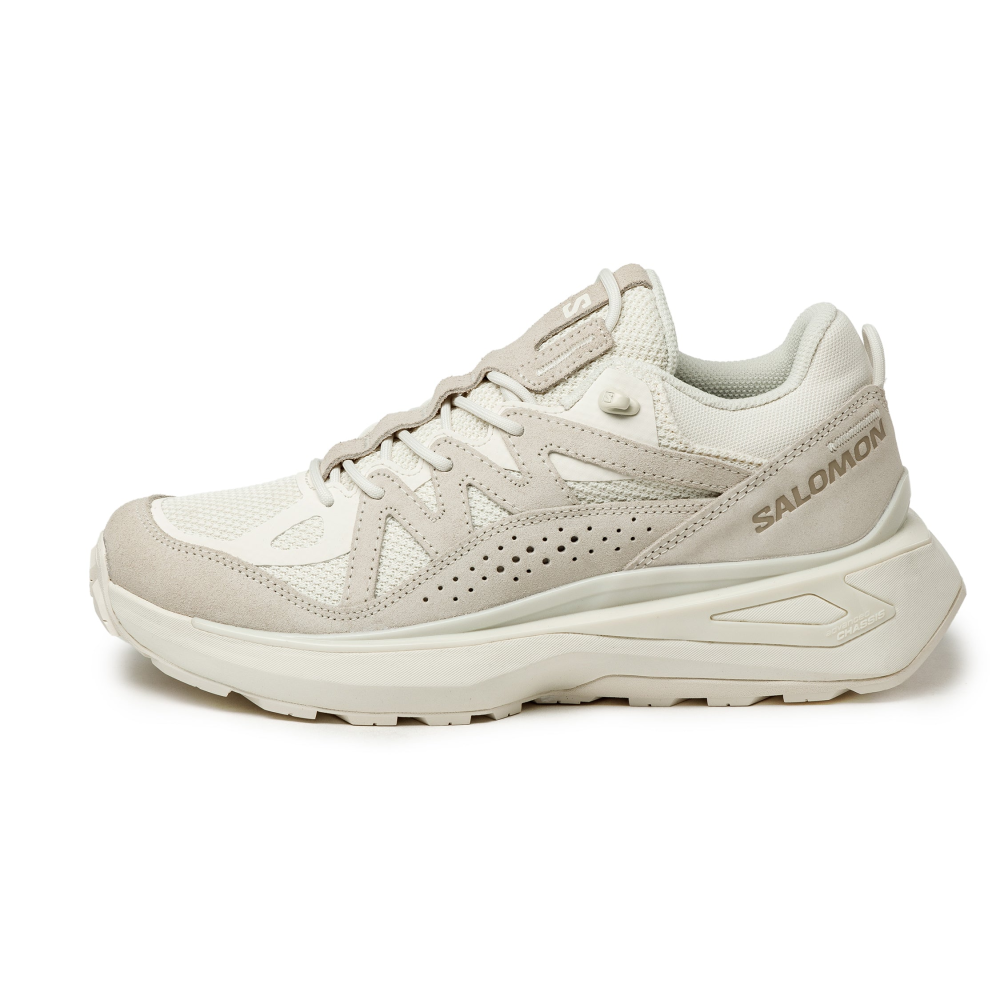 Salomon ODYSSEY ELMT LOW L47437100 / braun