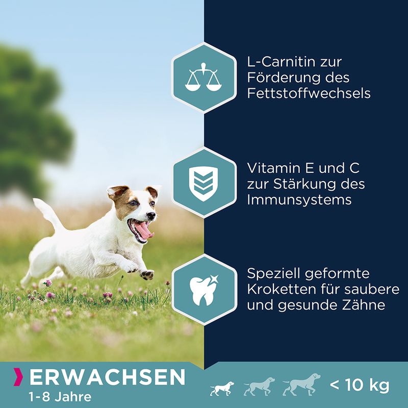 Eukanuba Adult Small Breed Huhn