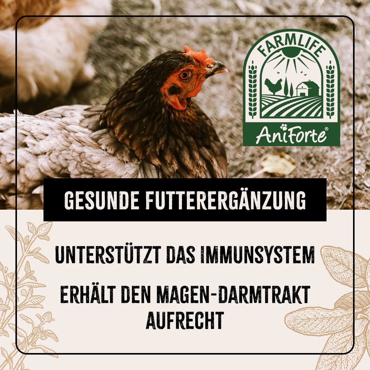 Aniforte Futter & Heu Aniforte Hühner Wohlfühlkräuter 0,5kg