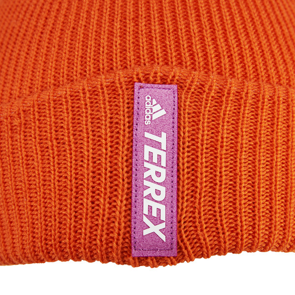 TERREX COLD.RDY ALPINE SKI WINTERMÜTZE Herren - Wollmütze