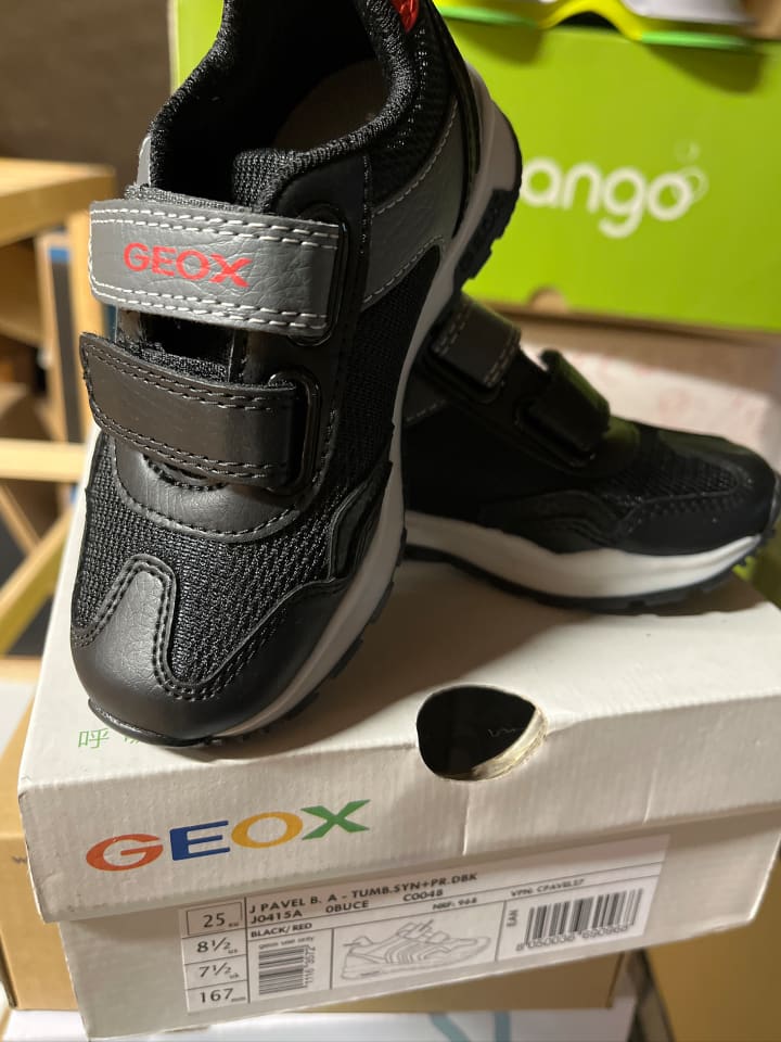 Geox Sneakers 