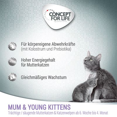 Concept for Life Mum & Young Kittens Mousse