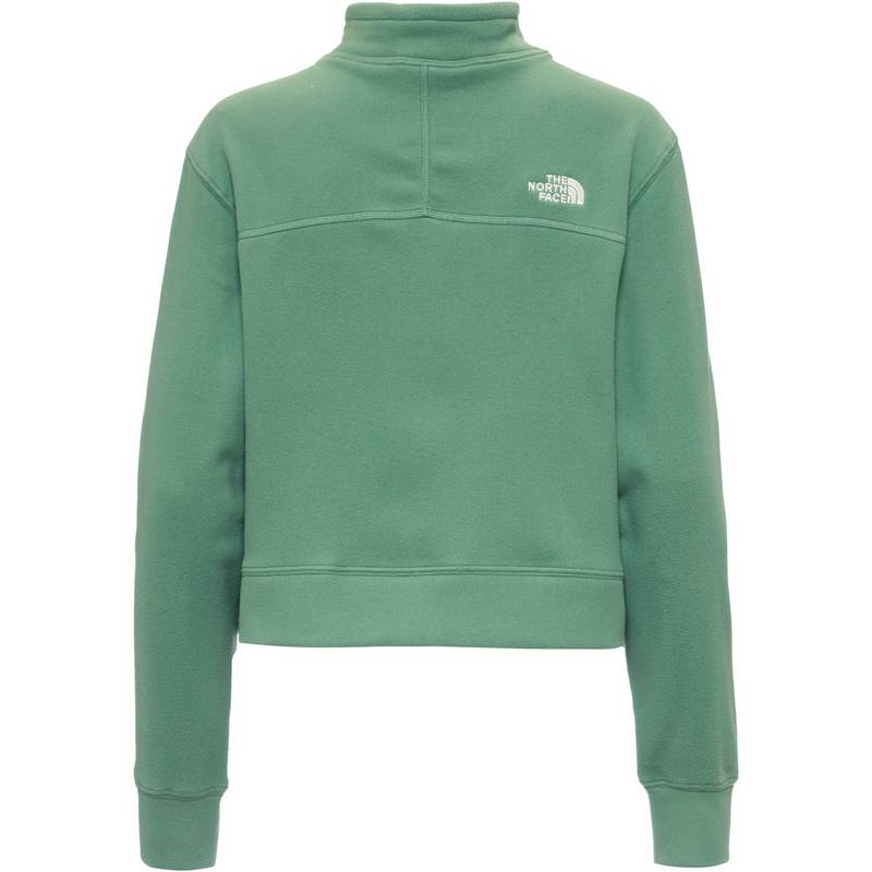 The North Face 100 GLACIER Fleeceshirt Damen