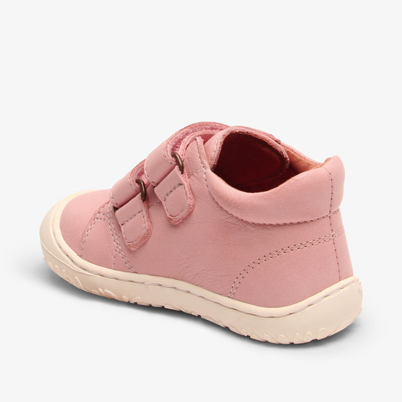 hale rose - Rose