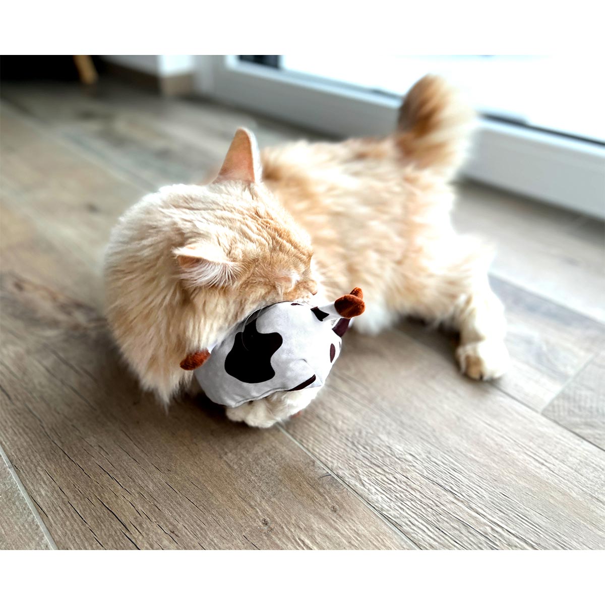Aumüller Katzenspielkissen Kuh Ella günstig kaufen
