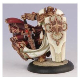 Protectorate Paladin of the Order of the Wall (PIP32014)