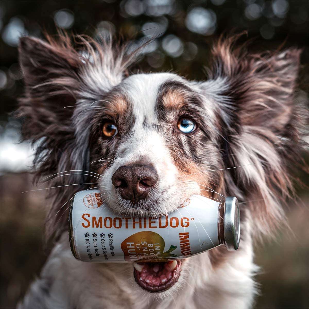 SmoothieDog Immunio günstig kaufen bei ZooRoyal